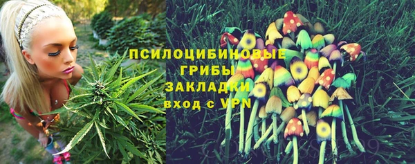 МДПВ Армянск