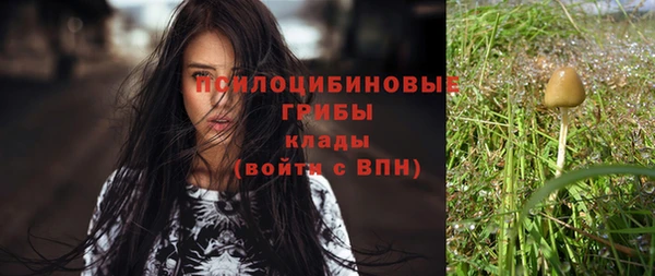 твердый Аркадак