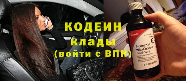 твердый Аркадак