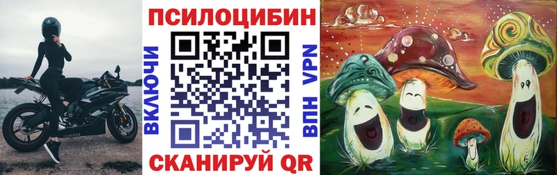 Псилоцибиновые грибы Psilocybe  Купить где  Нефтекумск 